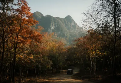 Autumn Forest Road with Mountain View (AI-generated)
