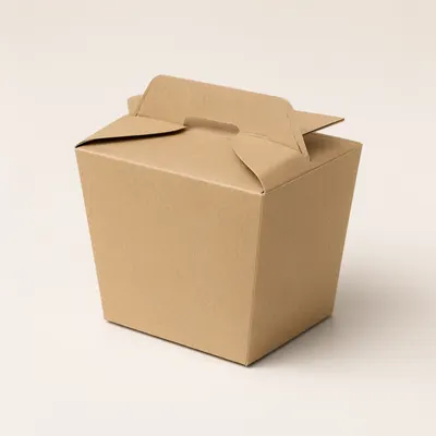 Blank Kraft Takeaway Box with Handle