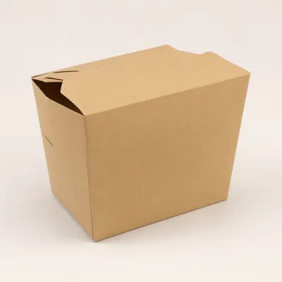 Blank Kraft Cardboard Box Mockup