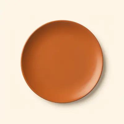 Minimal Terracotta Ceramic Plate on Beige Background
