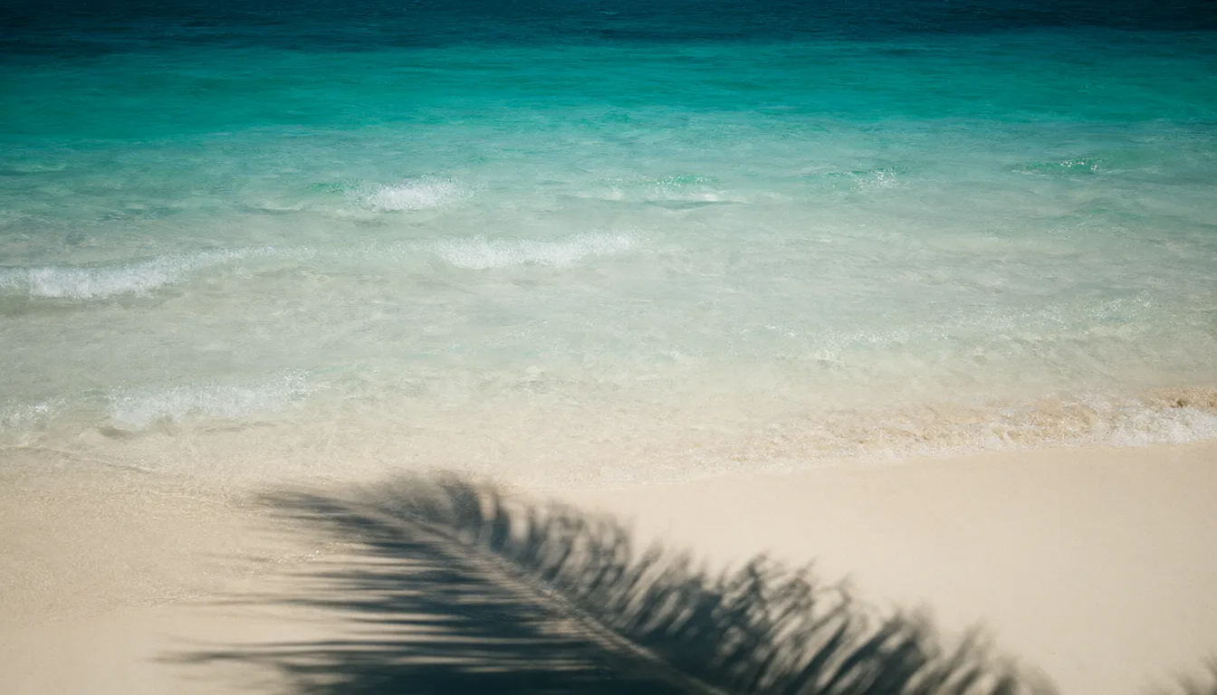 Tropical beach with turquoise water and a palm leaf shadow (AI-generated)