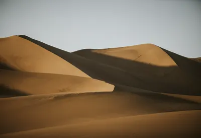 Golden Desert Dunes with Long Shadows (AI-generated)