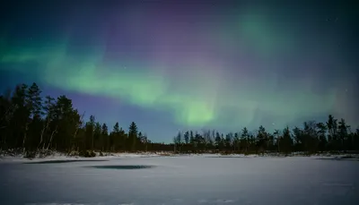 Northern Lights over a Snowy Landscape (AI-generated)