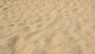 Warm Grainy Sand Texture (AI-generated)