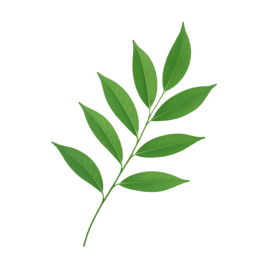 Graphic element: a slender green sprig with seven leaves (AI-generated)