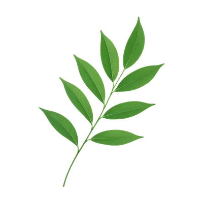 Leaf Sprig Element (AI-generated)