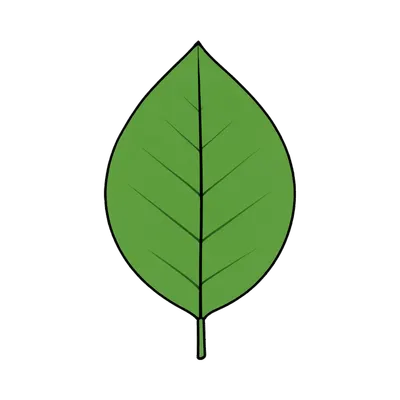 Leaf Cartoon Element (AI-generated)