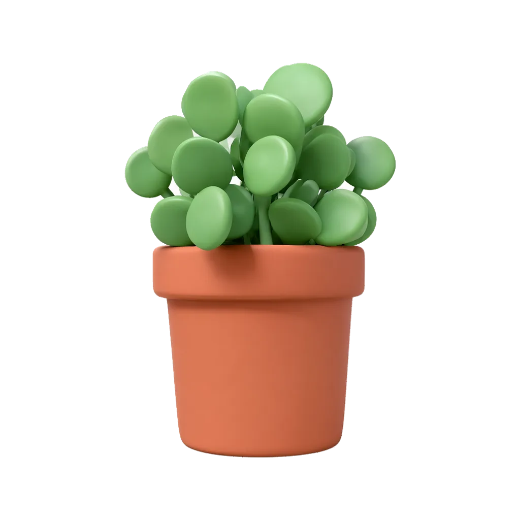 3D render of a potted plant with round leaves