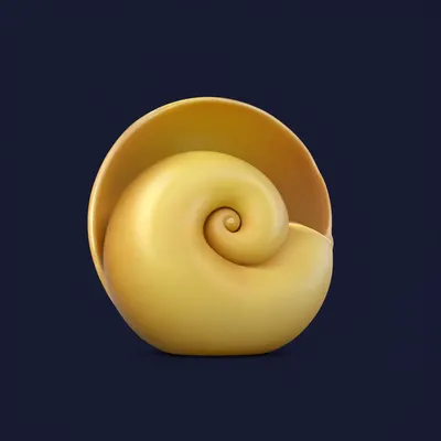 3D Abstract Curled Shell Form