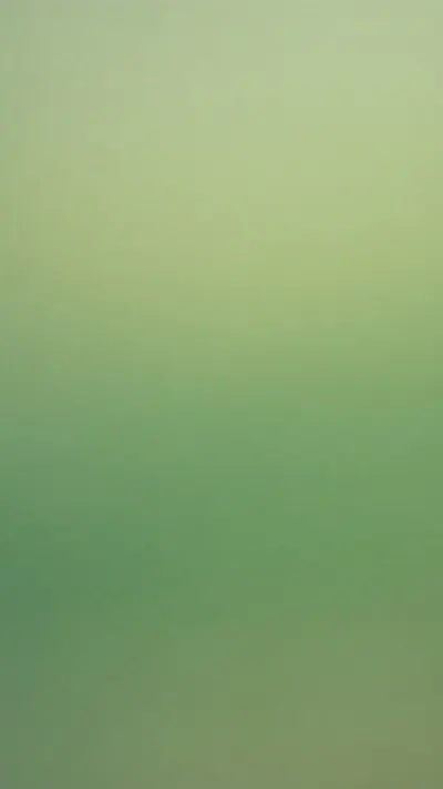 Sage Green Minimal Gradient