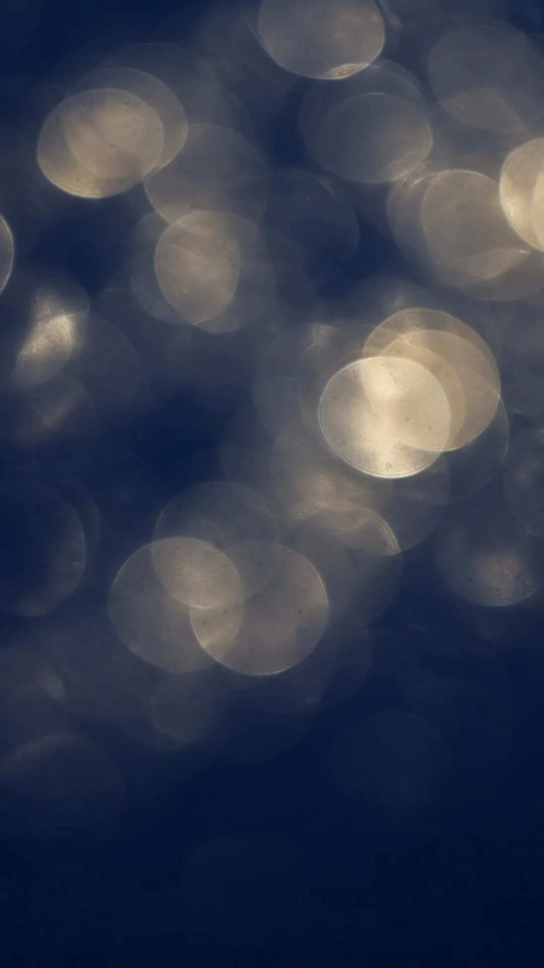 Soft Bokeh Lights in Navy and Gold