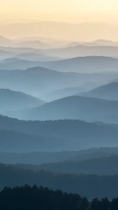 Misty Forest Layers at Sunrise