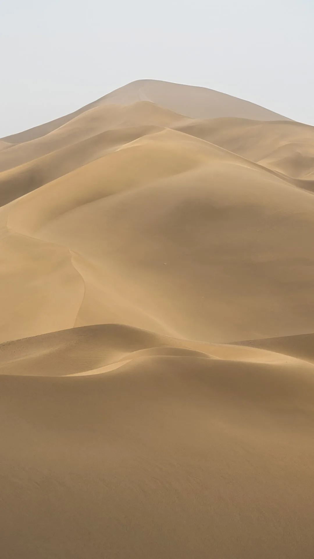 Minimal Desert Dunes