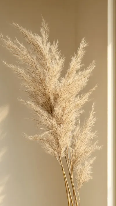 Dried Pampas Grass Minimal