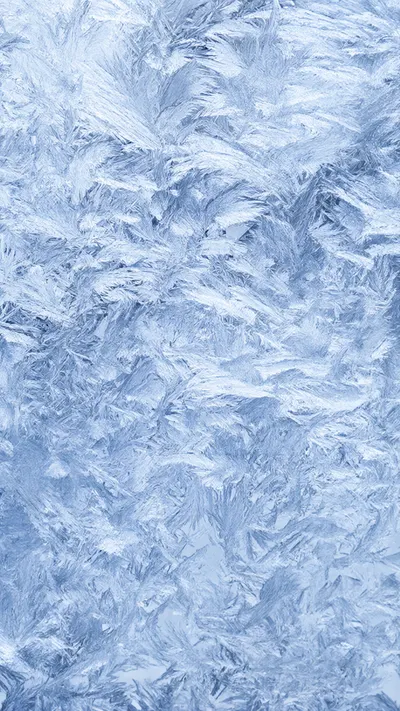 Winter Frost Patterns Macro