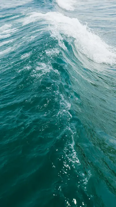 Wave Crest Macro in Teal