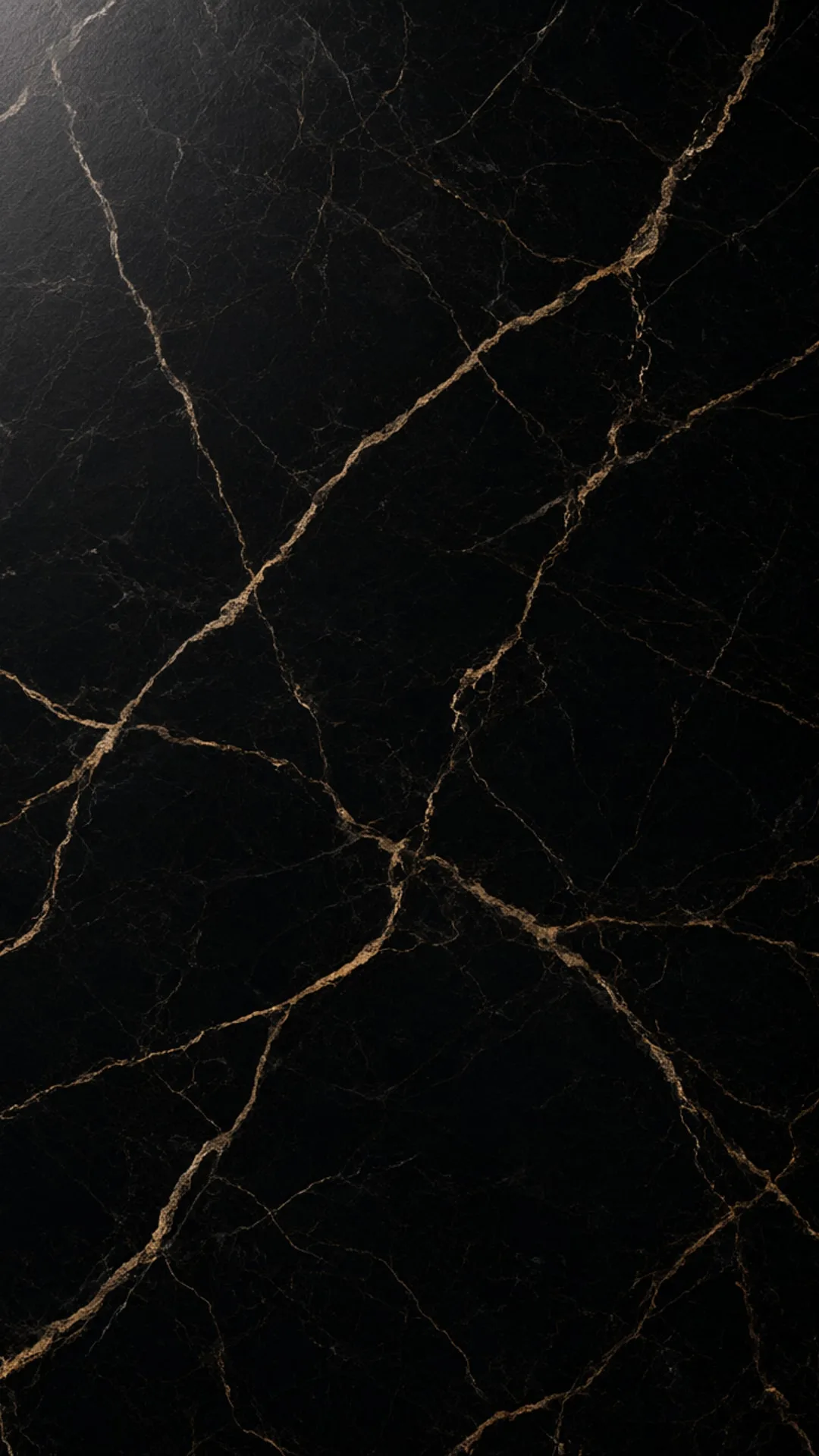 Black Marble with Gold Veins
