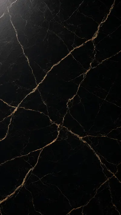 Black Marble with Gold Veins