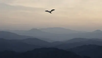 Fantasy Dragon Silhouette over Mountains