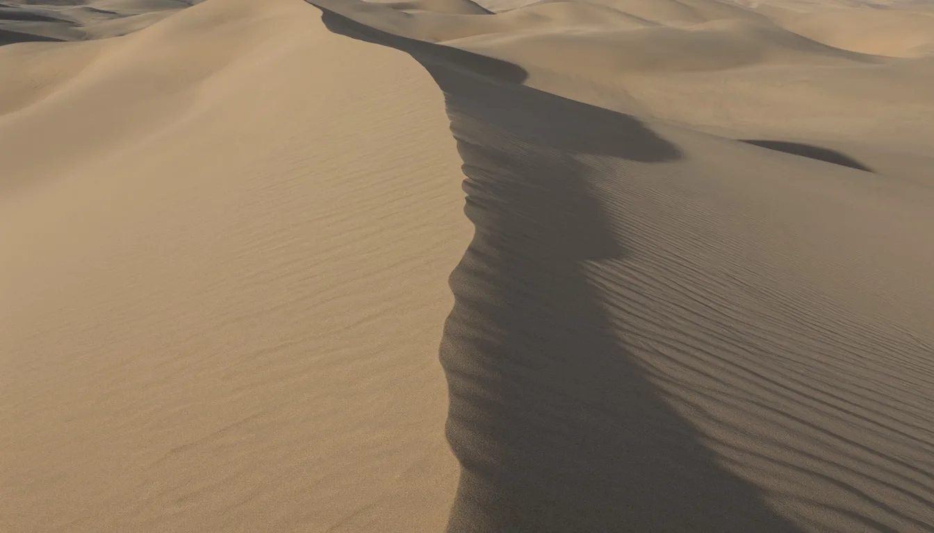 Minimal Sand Dune Ridges