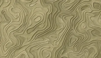 Abstract Topographic Lines