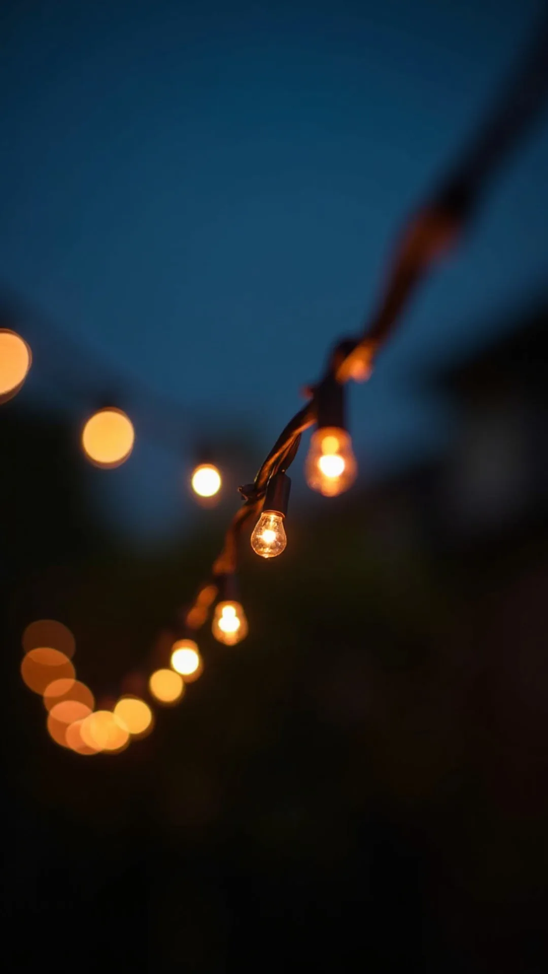 String Lights at Dusk