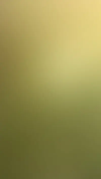 Muted Olive and Clay Gradient