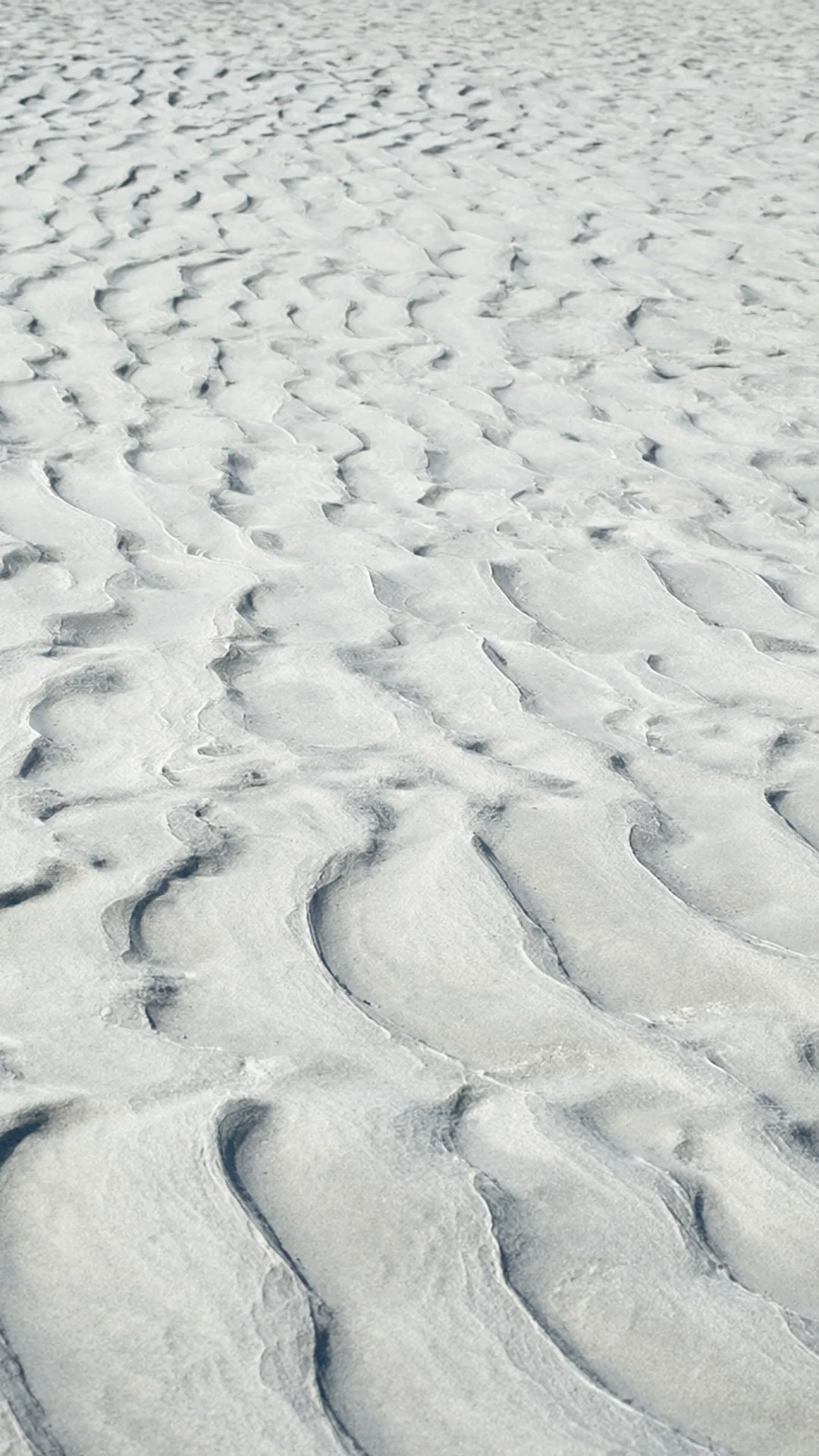 Sunlit Sand Ripples