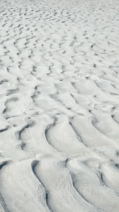 Sunlit Sand Ripples