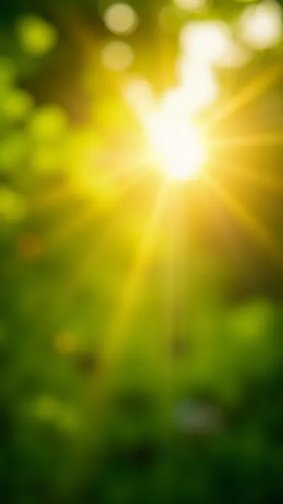 Sun Rays through Leaves