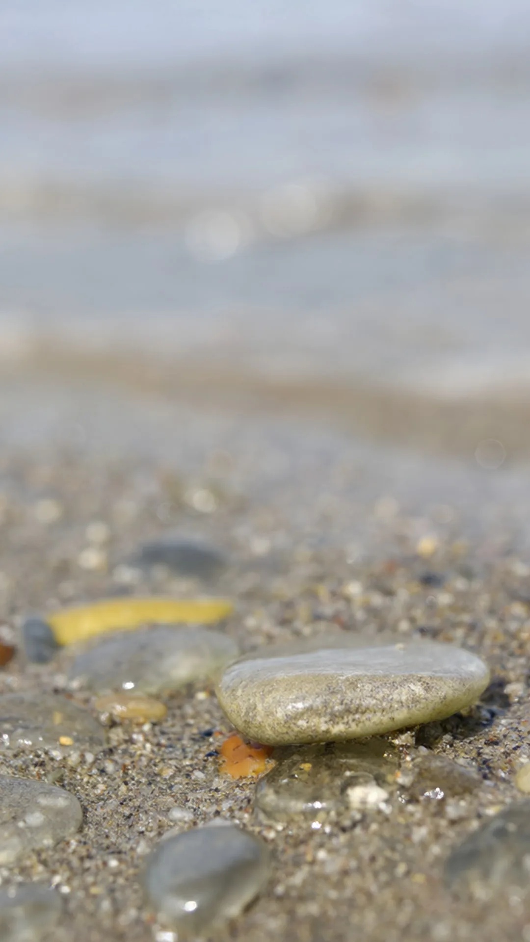 Sea Glass on Wet Sand