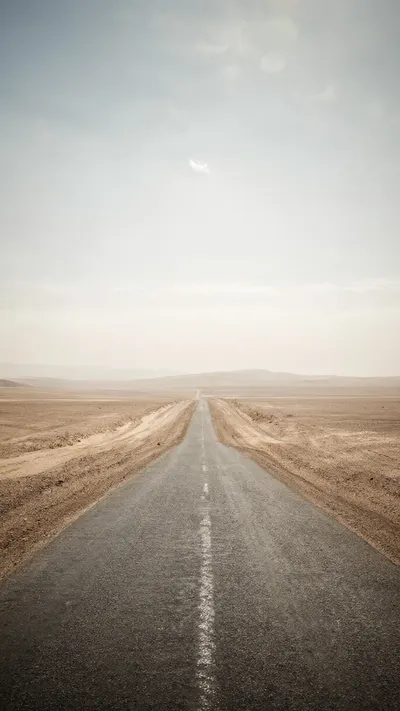 Muted Desert Road at Noon