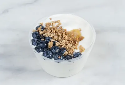 Greek Yogurt Bowl with Granola