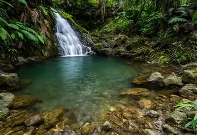 Tropical Waterfall in a Jungle Pool