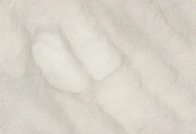 Wavy Lines in Warm Monochrome