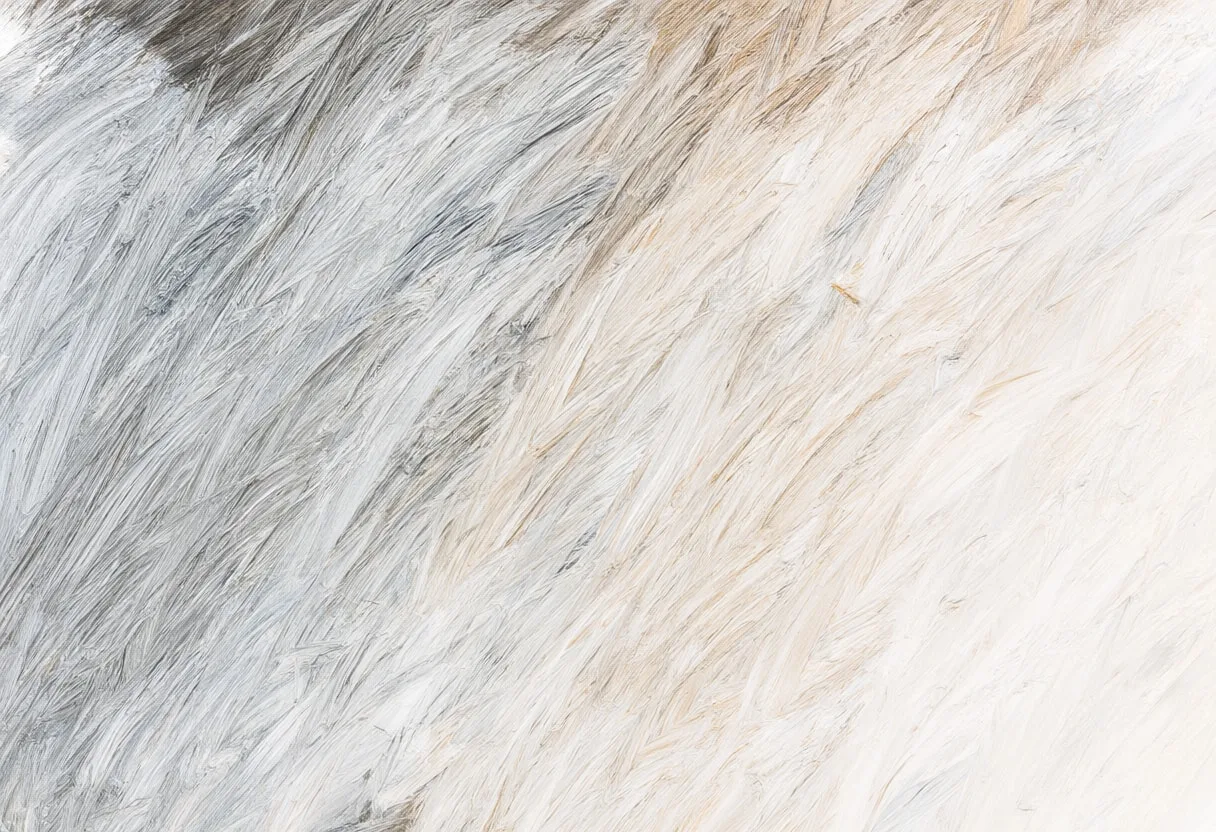 Brush Gradient Sweep