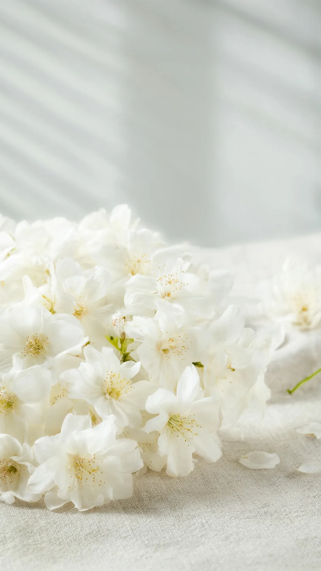 White Flowers on a Linen Cloth