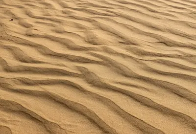 Sculpted Sand Waves