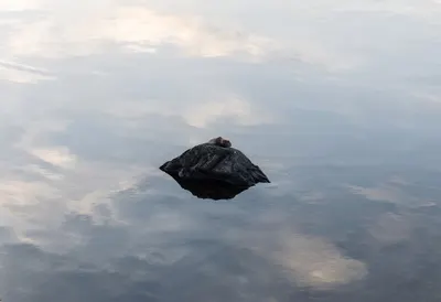 Calm Lake with a Single Rock