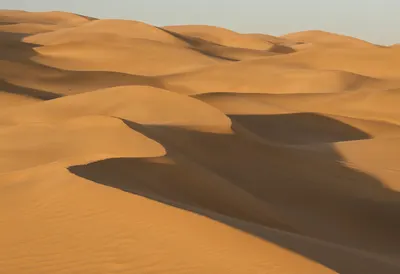 Desert Dunes at Golden Hour