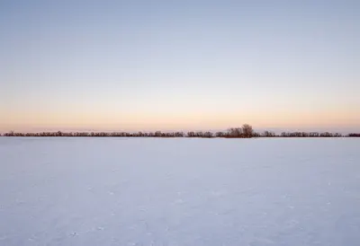 Snow Covered Field at Dusk