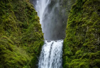Waterfall in a Green Canyon