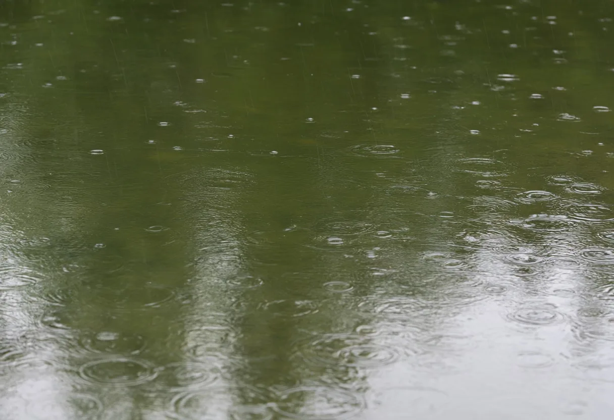 ฝนตกบนสระน้ำอันเงียบสงบ