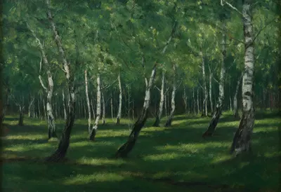 Oil Painting of a Quiet Birch Forest