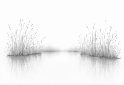 Pencil Sketch of Grasses by a Pond