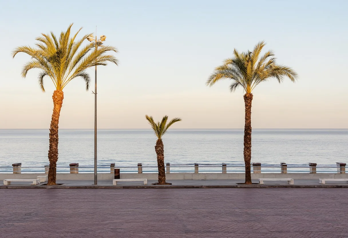 Coastal City Promenade with Palms