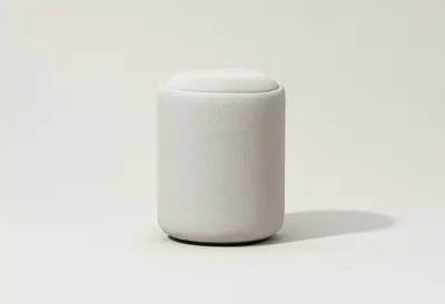 3D Minimal Smart Speaker Cylinder