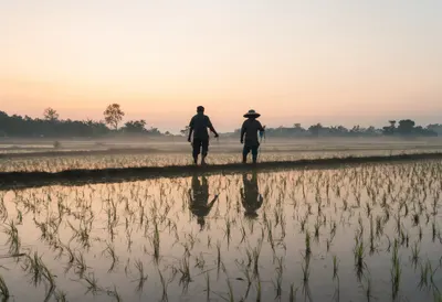 Two Farmers Standing in a Rice Field