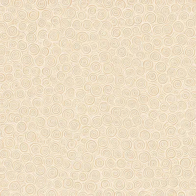 Concentric Circles Pattern in Sand