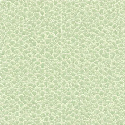 Scallop Scales in Sage